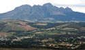 Stellenbosch Winefarms