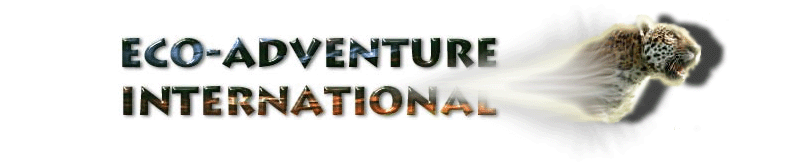 Accesssible Adventures from Eco-Adventure International, LLC